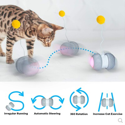 Fun auto cat toy