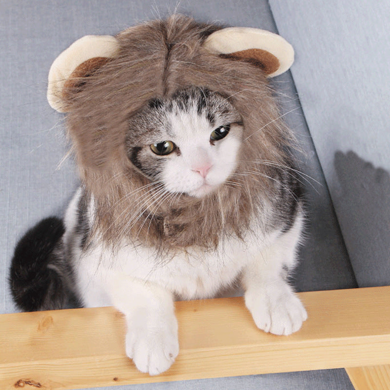 Cute head piece for your furry babies!