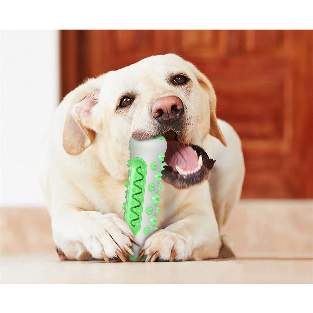 Canine chew toy for clean mouth hygene