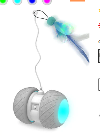 Fun auto cat toy