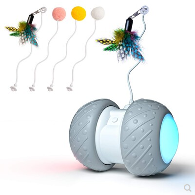 Fun auto cat toy